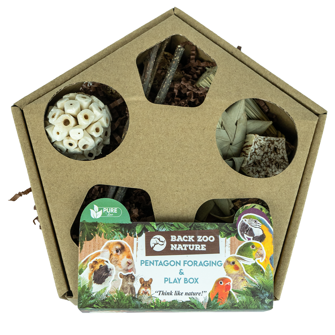 Pentagon Foraging & Play Box | Fugletilbehør
