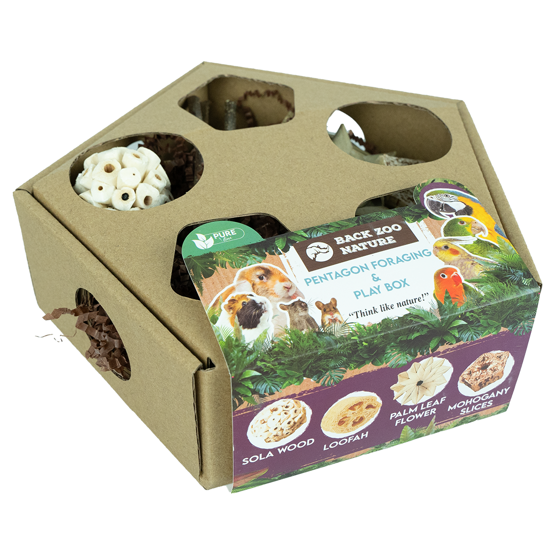 Pentagon Foraging & Play Box | Fugletilbehør