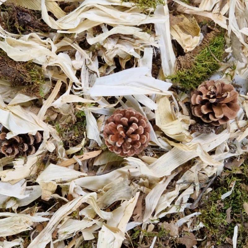 Naturligt foraging materiale til fugle og papegøjer
