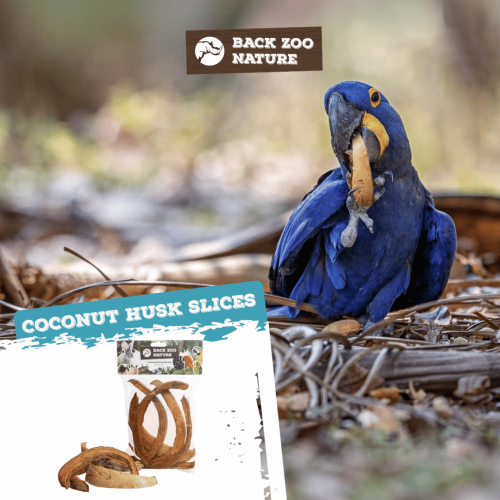 Coconut Husk | tilbehør til fuglebur til fugle