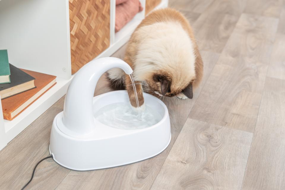 Vanddrikke fontaine, 2,5L