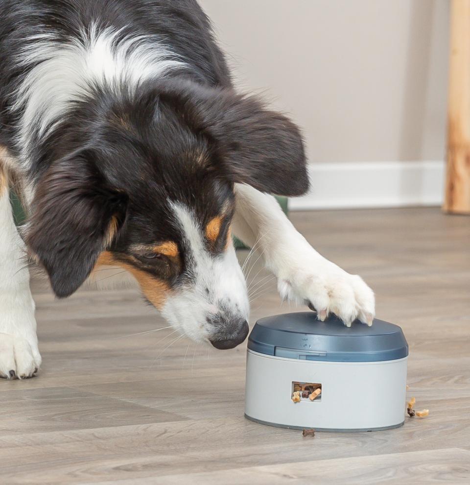Trixie Dog Activity Buzzer – Interaktivt belønningslegetøj til hunde