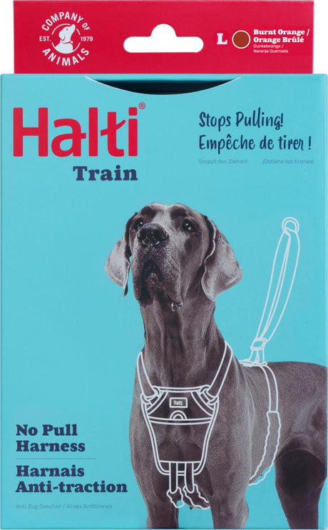 NO-PULL Harness, træningssele til hunde der trækker - farve orange