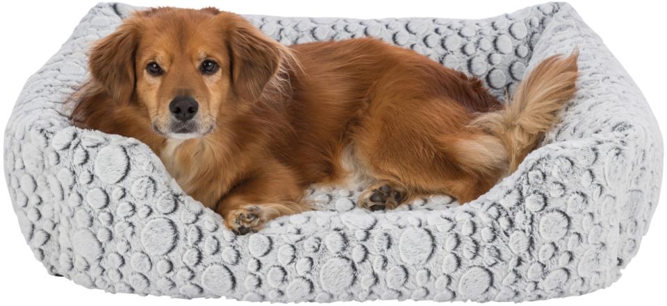 Hundeseng "Mila" flot blød hundeseng med kant