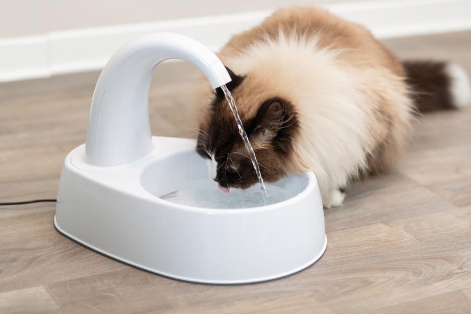 Vanddrikke fontaine, 2,5L