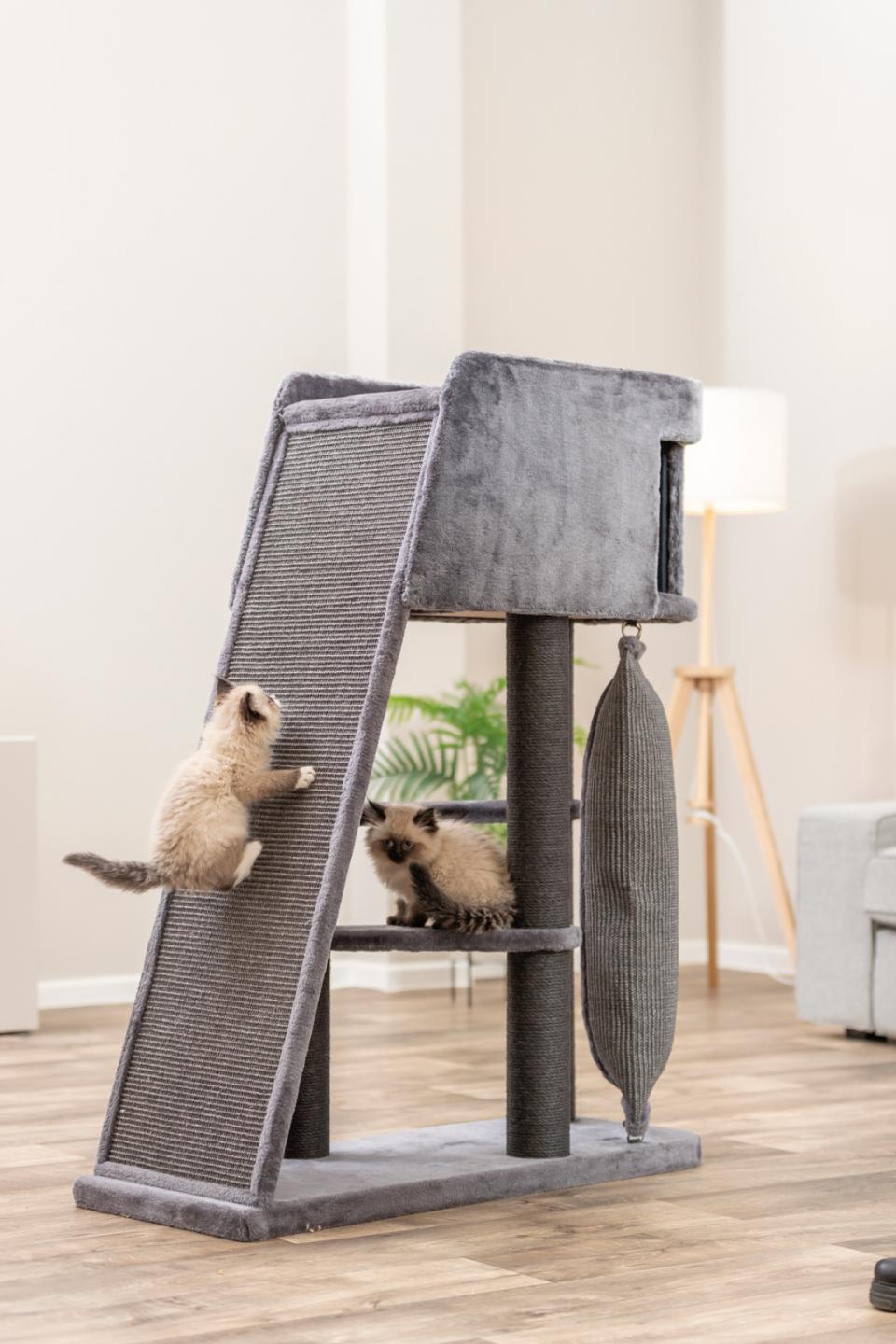 Kradsetårn Active højde 122 cm, med klatrerampe