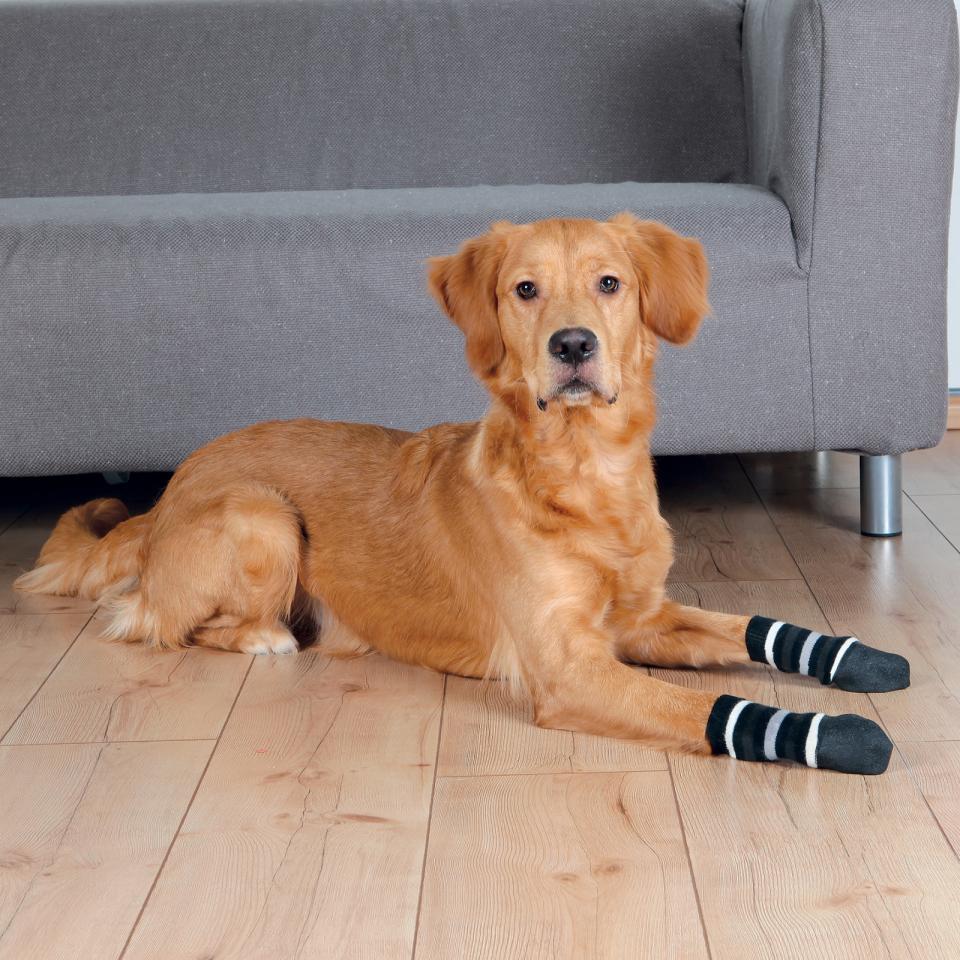 Hundestrømper 2-pak, SKRIDSIKRE