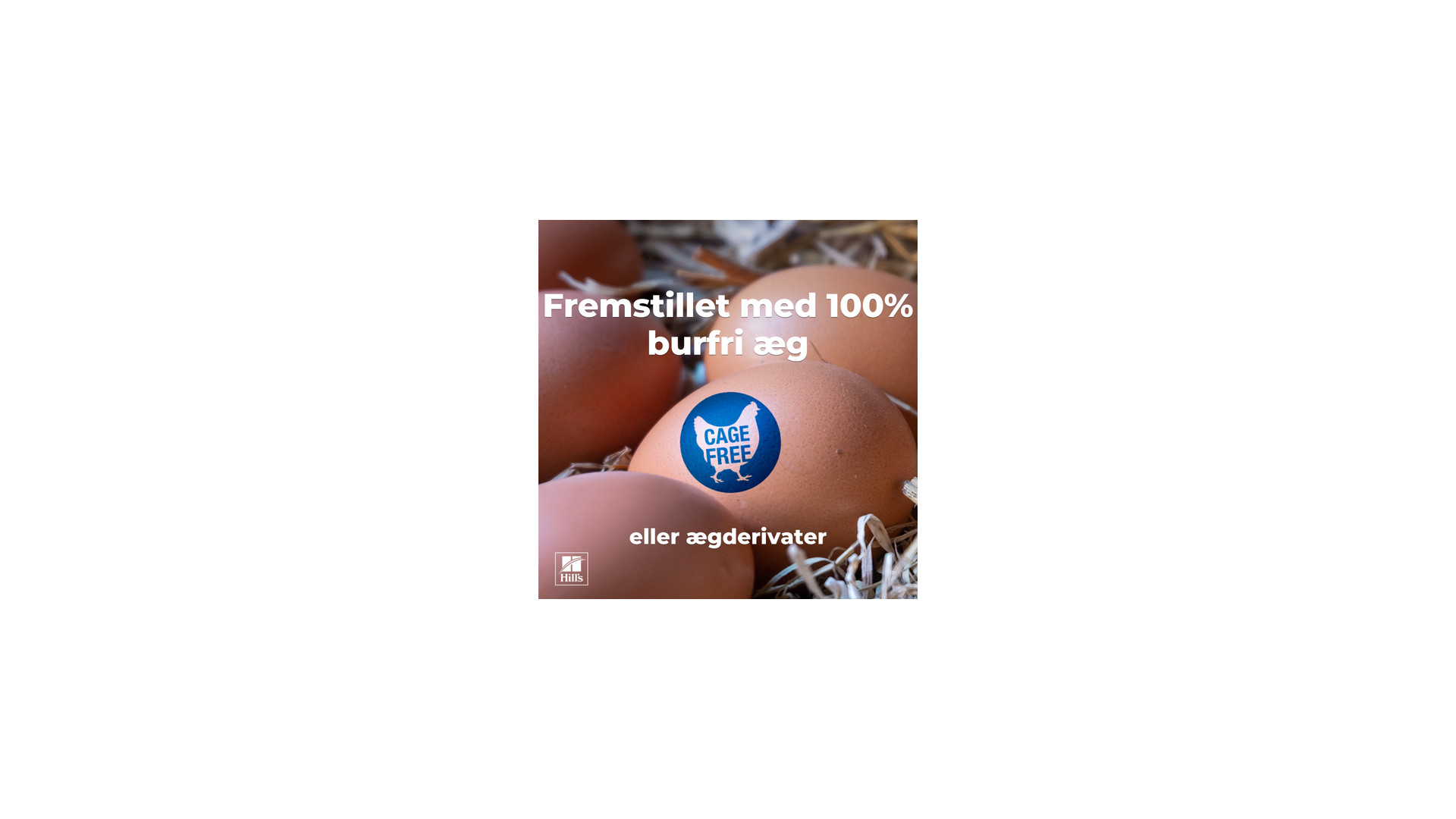 Hill's PRESCRIPTION DIET Derm Defense Environmental Sensitivities tørfoder til hunde med kylling