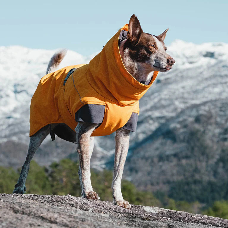 Hurtta Expedition Parka - Vinterdækken til Hunde i flere flotte farver