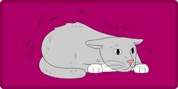 Stress & nervøsitet hos katte