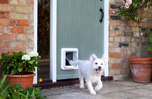 SureFlap Microchip Pet Door Connect kattelem og hundelem - Med mulighed for App!