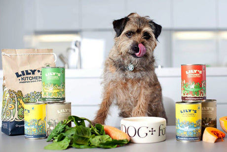 LILY'S KITCHEN - HUNDEFODER & KATTEMAD