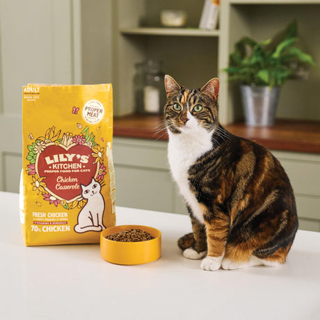 LILY'S KITCHEN - HUNDEFODER & KATTEMAD