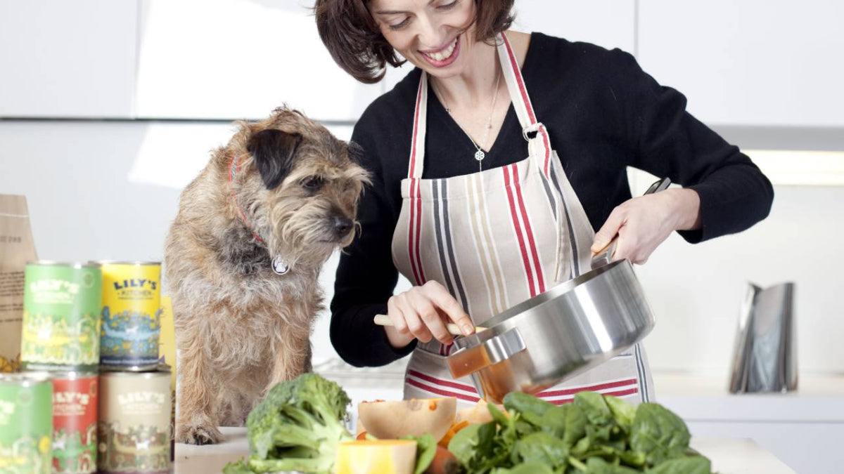 LILY'S KITCHEN - HUNDEFODER & KATTEMAD
