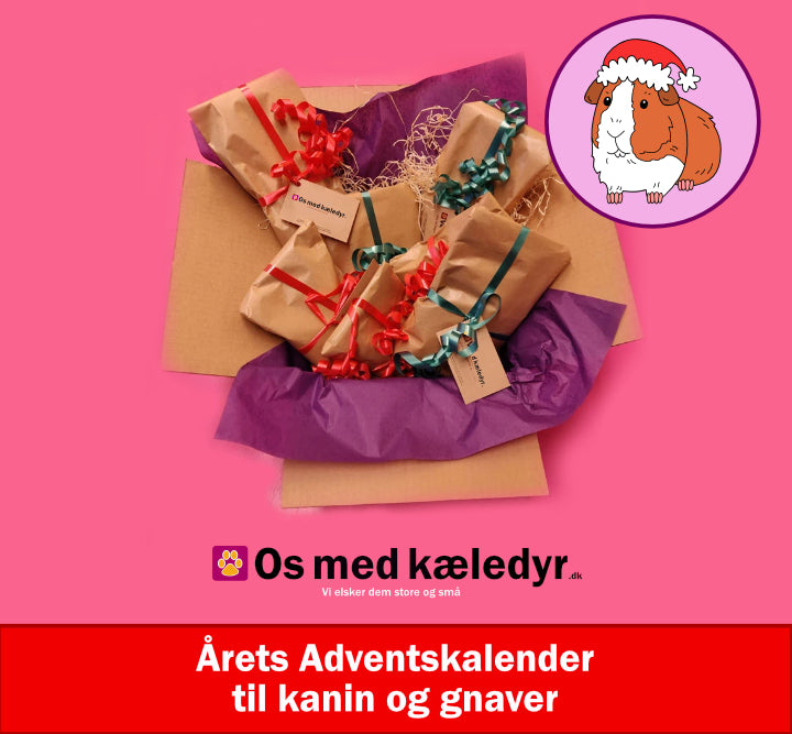 Årets Håndplukkede Adventskalender til din kanin / gnaver!