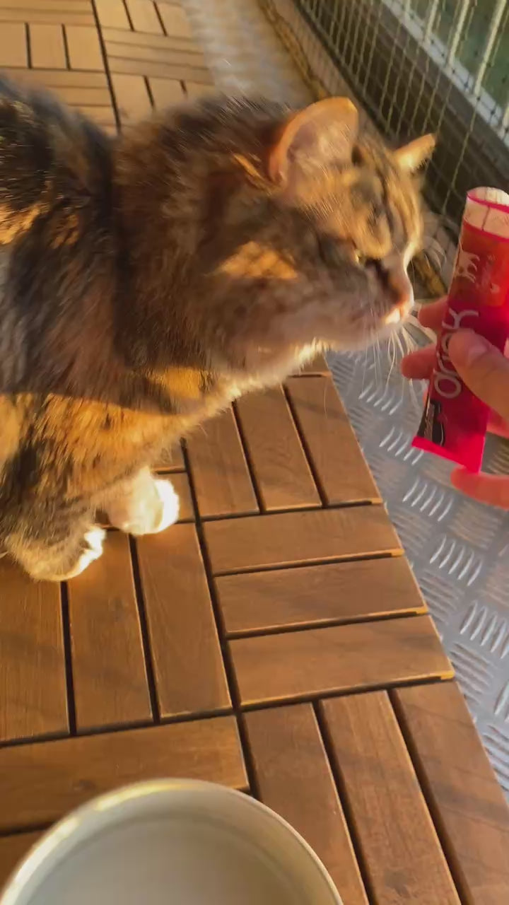 Kattevæske, Drinks Fjerkræ +Taurin