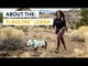 Flagline™ Dog Lead - youtube film