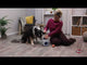 Trixie Turn Around Aktivitetslegetøj til Hunde