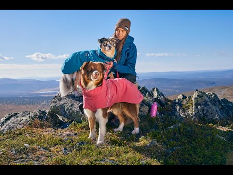 Hurtta Expedition Parka II - Vinterdækken til Hunde i NYE flotte farver