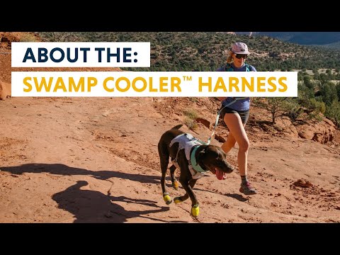 Swamp Cooler Harness fra Ruffwear – perfekt til aktive hunde