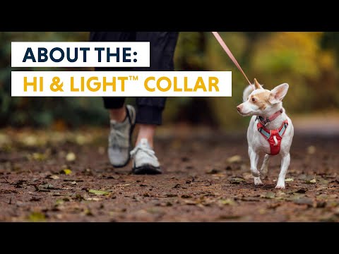 Hi & Light Collar fra Ruffwear – perfekt til aktive hunde
