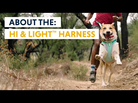 Youtube film om Hi & Light™ Harness