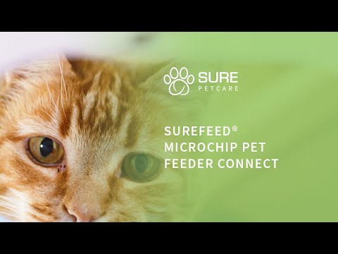 SureFeed Microchip Feeder Connect – intelligent foderautomat med mikrochip og app