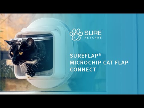 SureFlap Microchip Pet Door Connect kattelem og hundelem - Med mulighed for App!