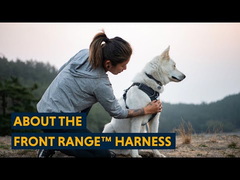 Front Range® Harness fra Ruffwear – perfekt til aktive hunde