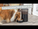 Trixie TX4 Smart Automatisk Foderdispenser – appstyret foderautomat til små hunde og katte
