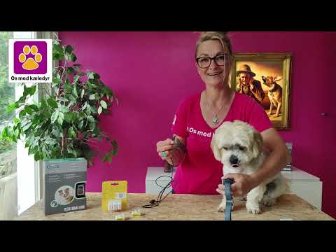 Anti Gø halsbånd med spray fra PetSafe