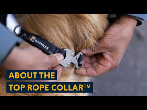 Top Rope Collar (New for AW24) fra Ruffwear – perfekt til aktive hunde