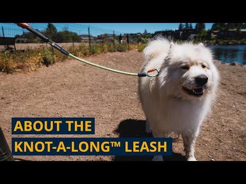 Youtube About the Knot-a-Long™ Leash
