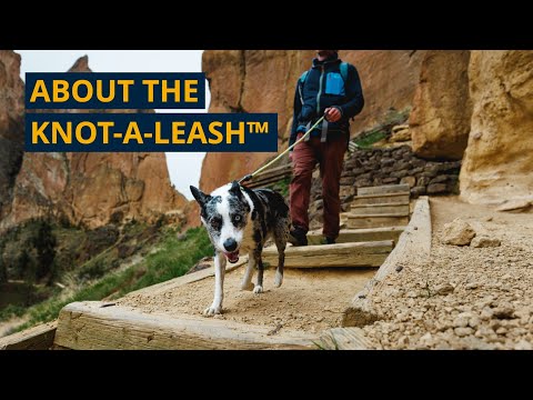 Knot-a-Leash fra Ruffwear – perfekt til aktive hunde
