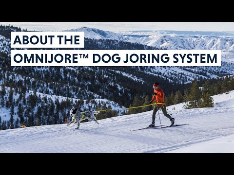 Omnijore Joring System fra Ruffwear – perfekt til aktive hunde