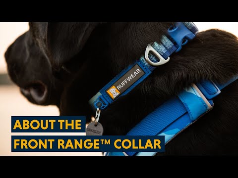 Front Range Collar fra Ruffwear – perfekt til aktive hunde
