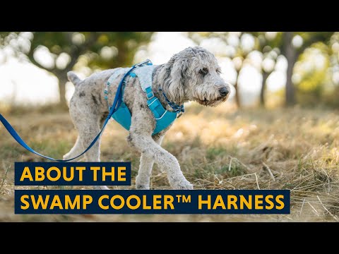 Swamp Cooler Harness fra Ruffwear – perfekt til aktive hunde