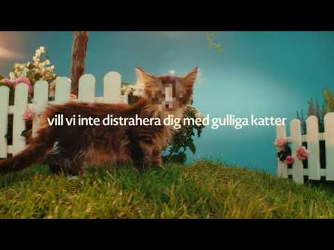 Bozita med Rensdyr – Kornfri Vådfoder i 85g Portionsposer til Kat