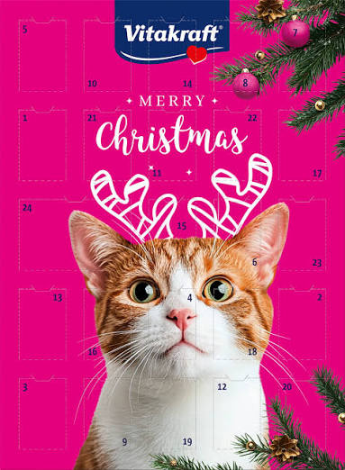 Julekalender Kat, med flydende godbidder fra Vitakraft