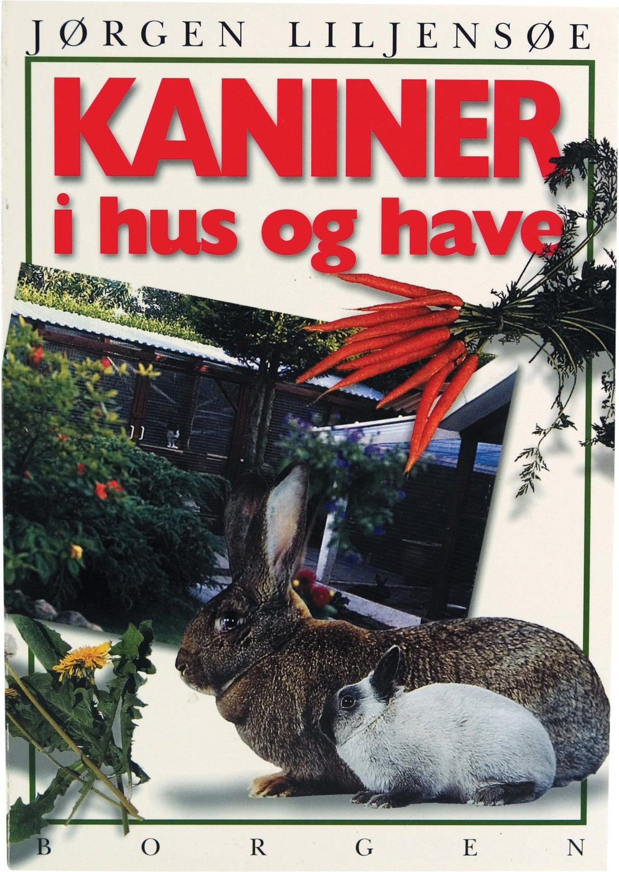 Ting til kanin - Kaniner i hus og have (bog) - Hvor kæledyr ville handle - Foderboxen.dk