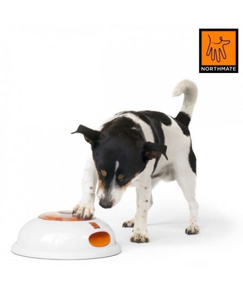 Legetøj - Smart & Interaktivt madskål til hunde | Pulse fra NORTHMATE - Hvor kæledyr ville handle - Foderboxen.dk