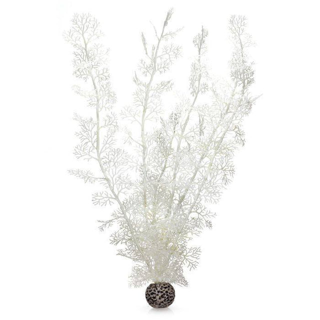 planter / Ornamenter - Biorb Sea fan plante XLarge / akvarium - Hvor kæledyr ville handle - Foderboxen.dk