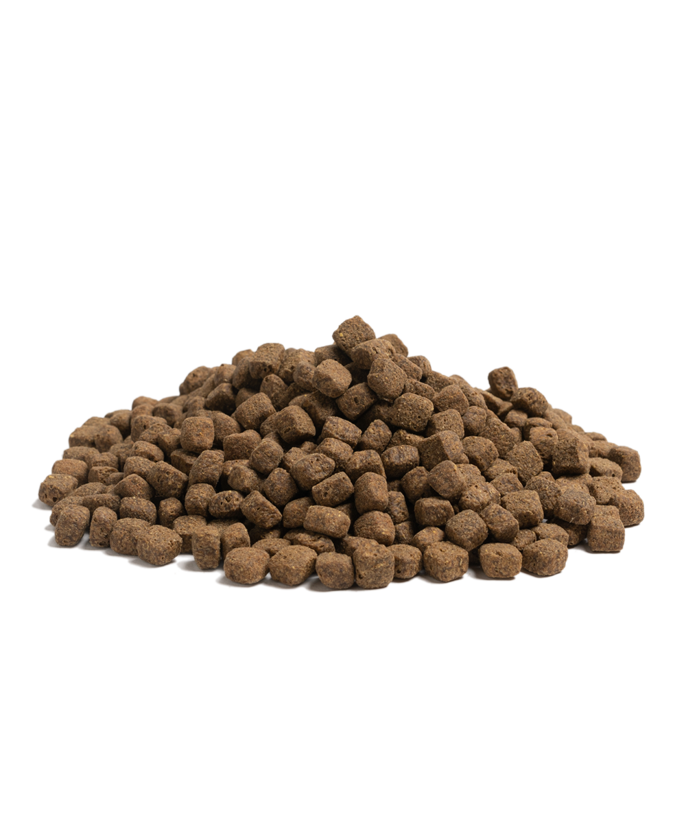 En bunke brunt Essential Contour hundefoder på hvid baggrund, velegnet til kornfrit hundefoder.
