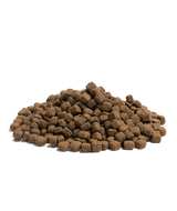 En bunke brunt Essential Contour hundefoder på hvid baggrund, velegnet til kornfrit hundefoder.