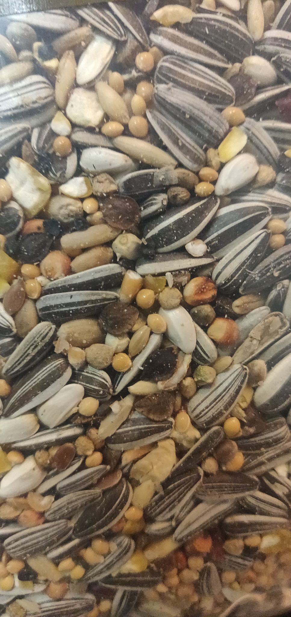 Vildtfuglefrø med hampfrø, hørfrø og jordnødder 4KG - Vetboxen.dk