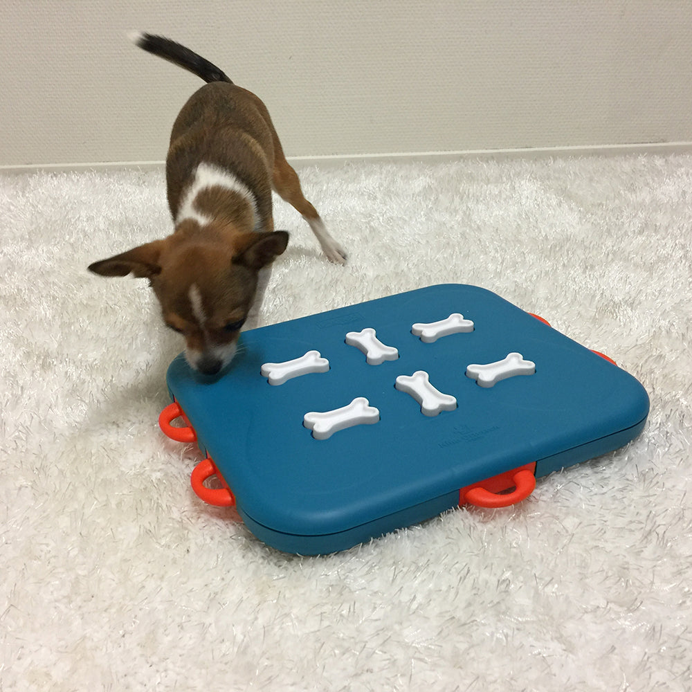 En hund der entusiastisk leger med et Aktivitetslegetøj "casino" - til hunde og katte SV3 legetøj på et tæppe.