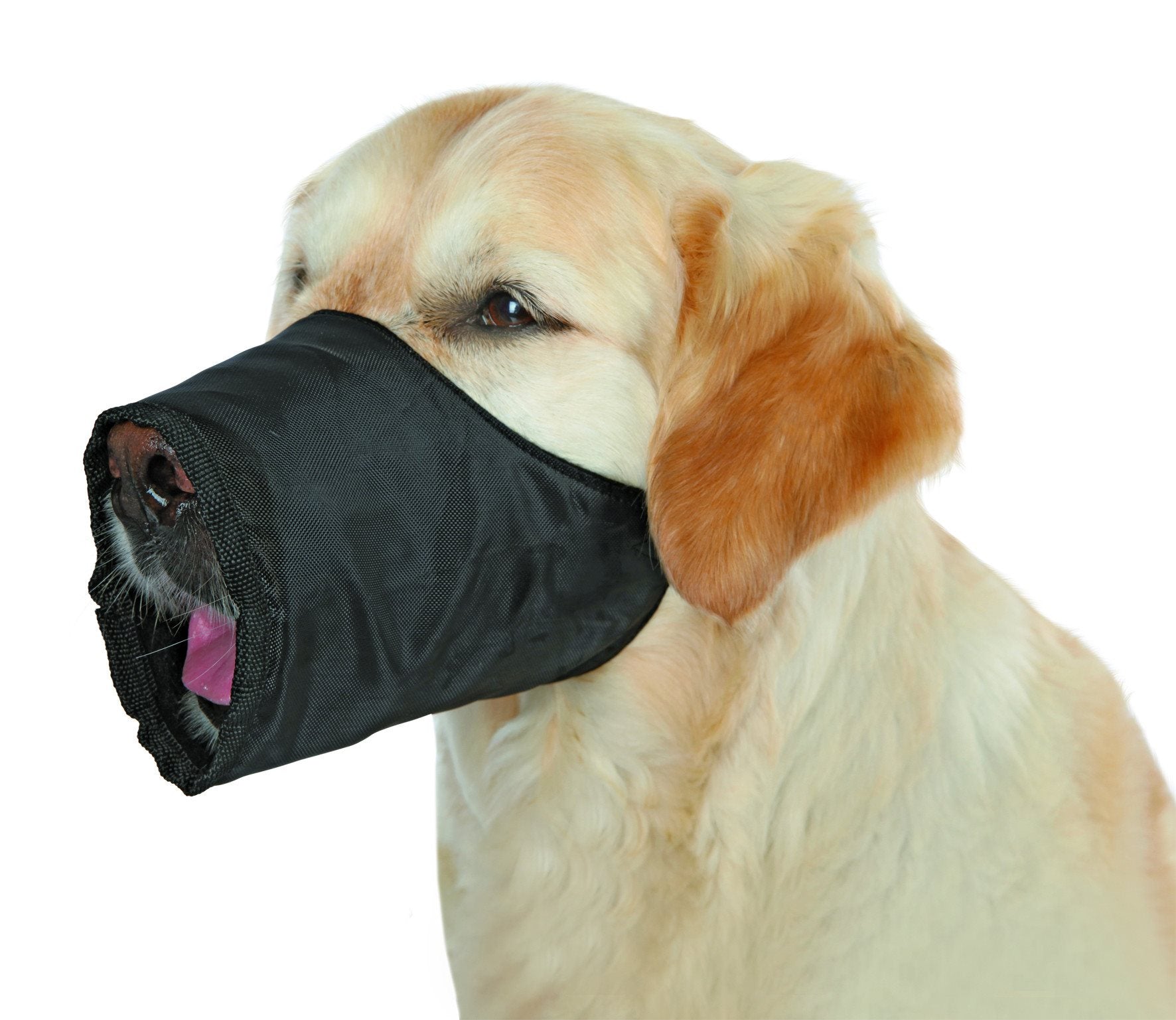 Mundkurv til hund