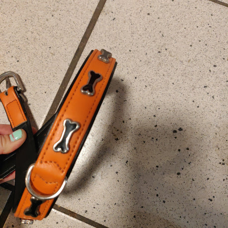 Et Hunde Hunter læderhalsbånd med poter, orange med en person, der holder et orange og sort hundehalsbånd.