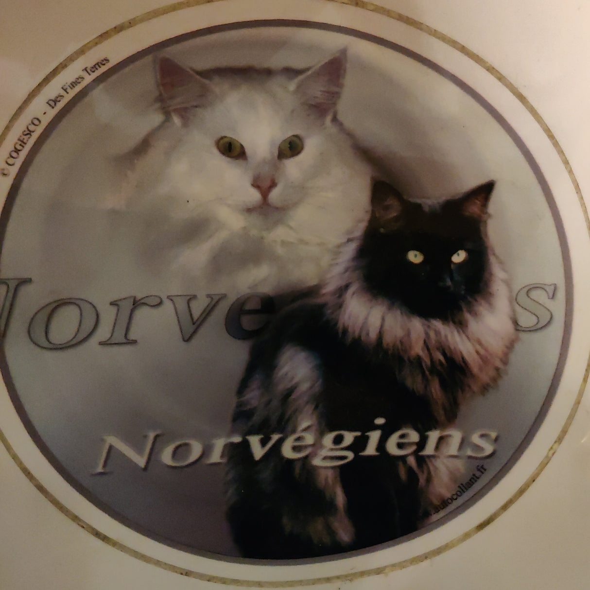 To katte i en cirkel, en sort og hvid, på en Kw Dekal, rund Ø15.
