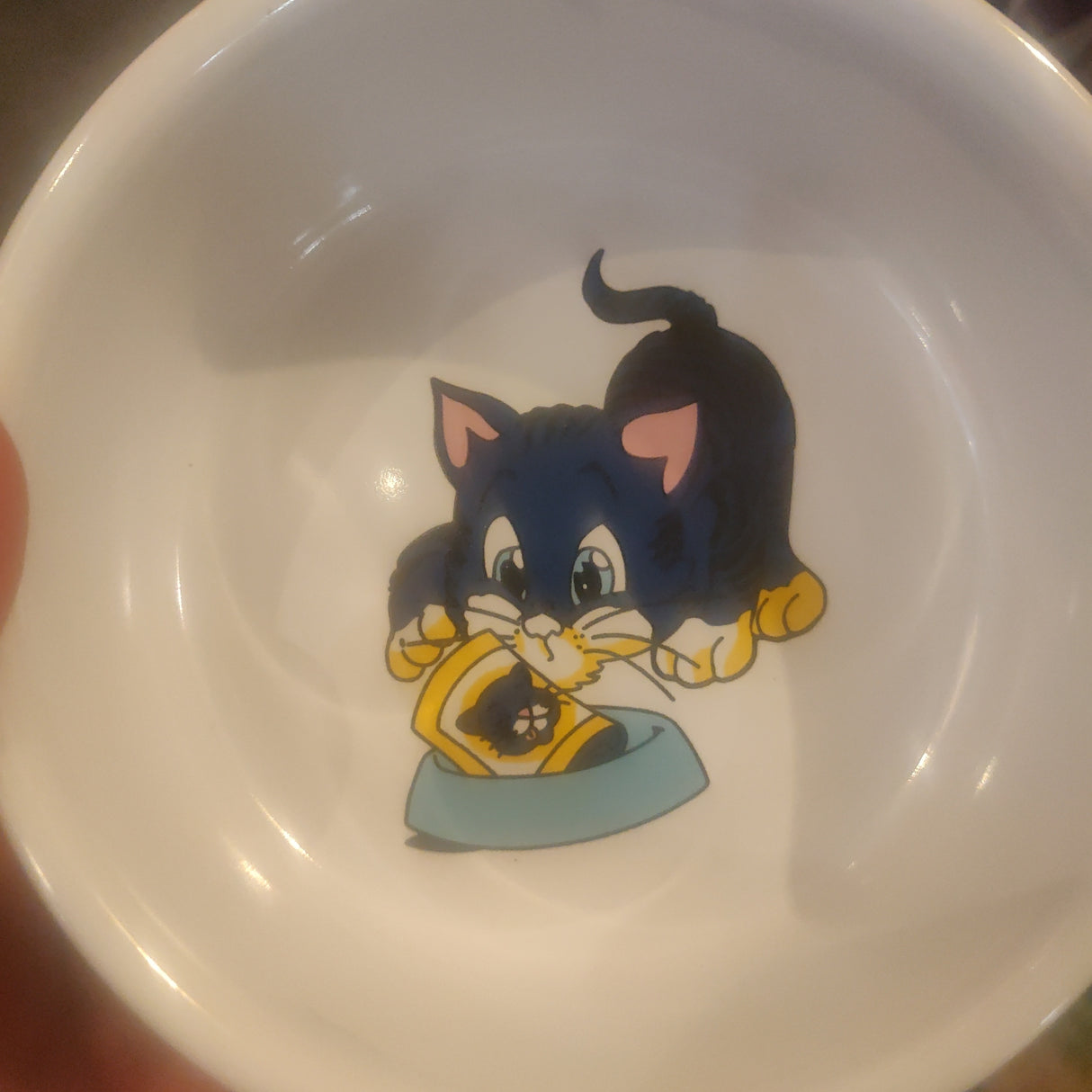 En person holder en Trixie skål til kat, keramik med sødt motiv.